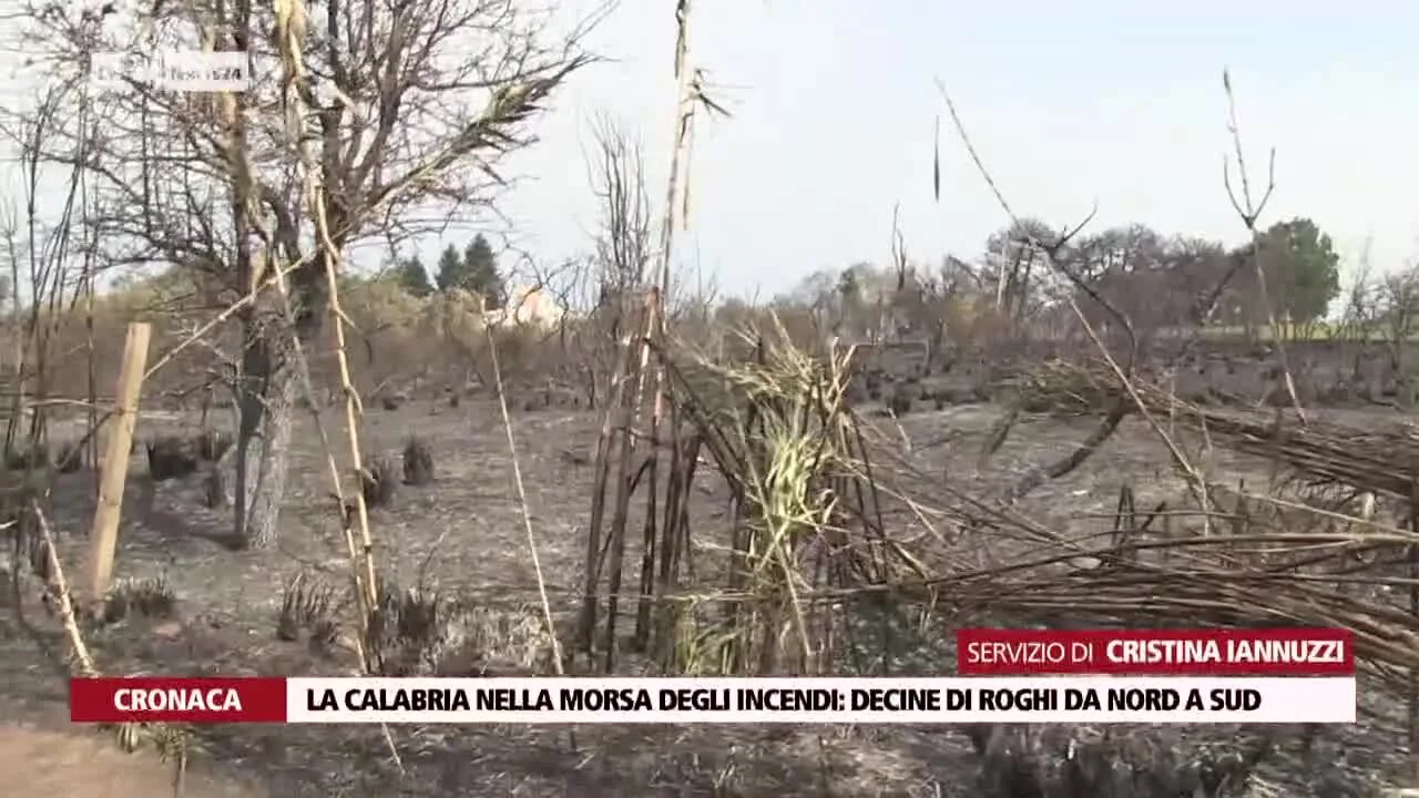 La Calabria nella morsa degli incendi, decine di roghi da nord a sud