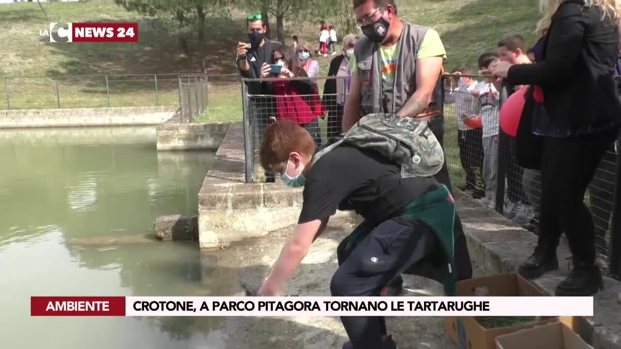 Crotone, a Parco Pitagora tornano le tartarughe