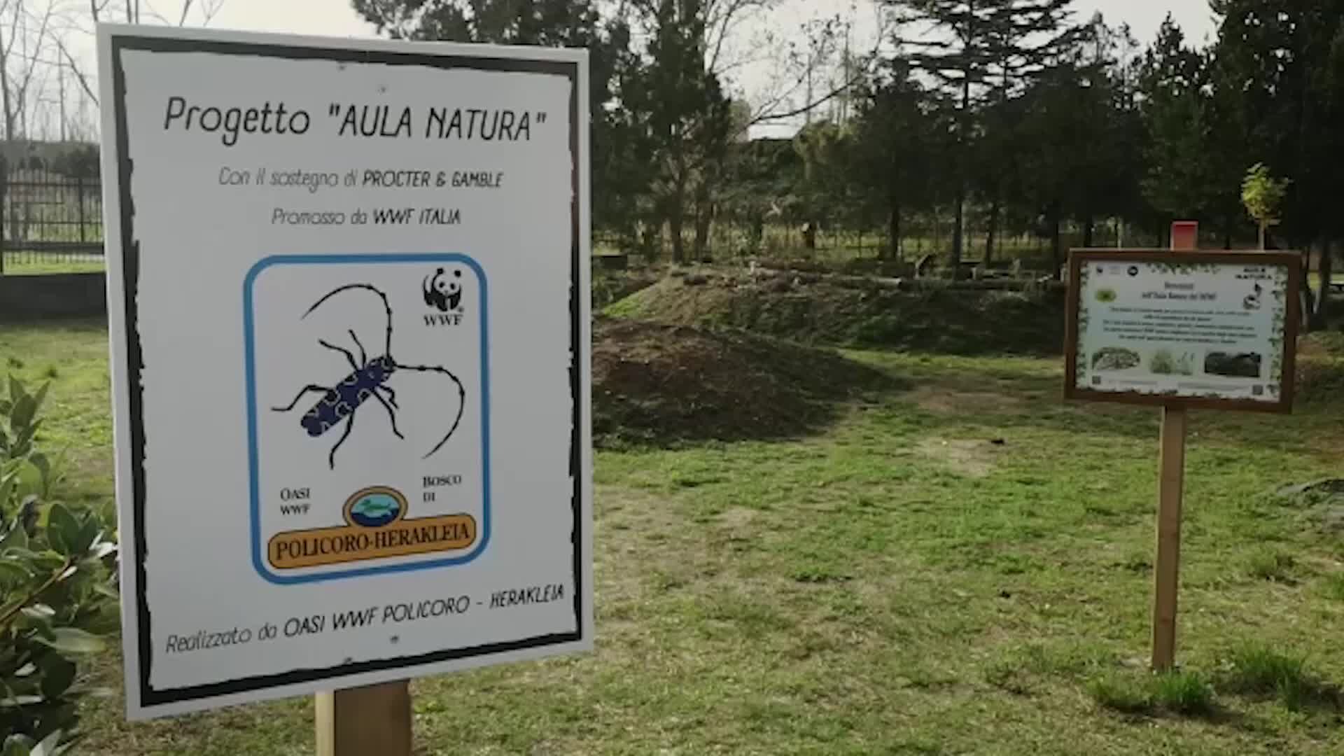 Lezioni all’aperto per gli alunni dell’Istituto comprensivo di Fuscaldo: inaugurata l’Aula natura