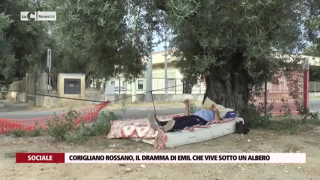 Corigliano Rossano, il dramma di Emil che vive sotto un albero