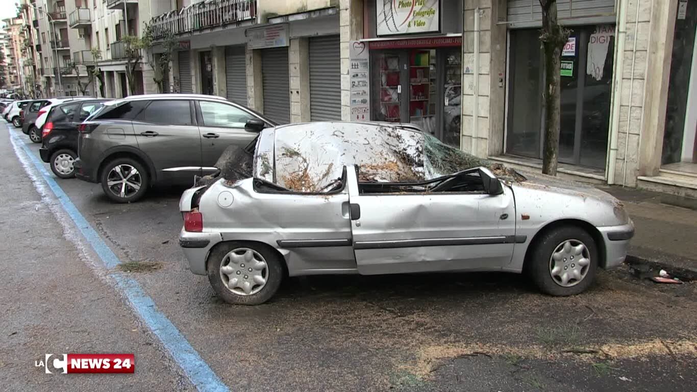 Cosenza, auto distrutta da albero caduto