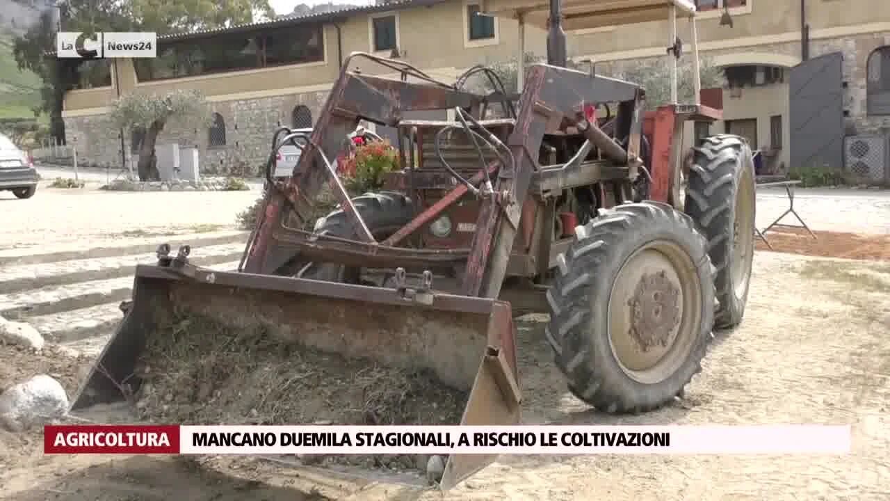 Mancano duemila stagionali, a rischio le coltivazioni