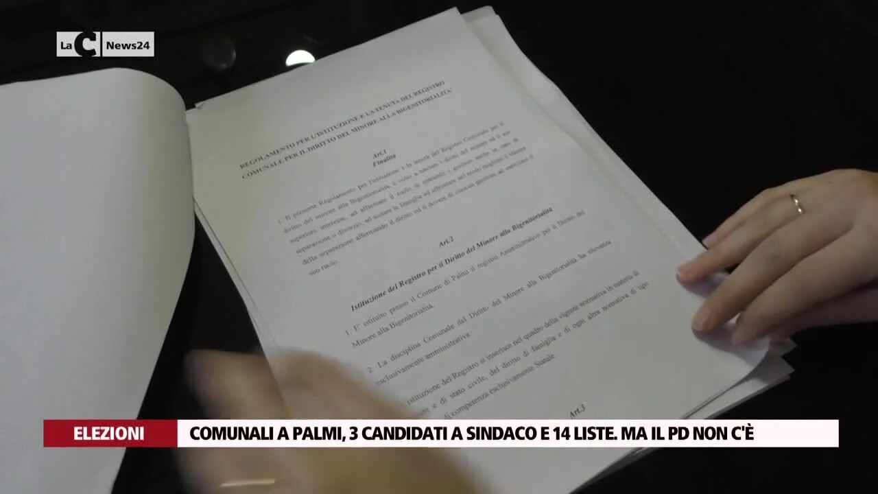 Comunali a Palmi, 3 candidati a sindaco e 14 liste. Ma il Pd non c'è