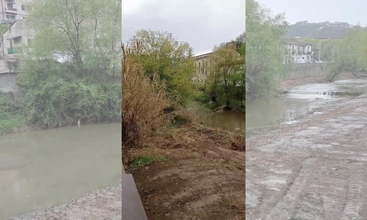 Pulizia del Busento a Cosenza, la Lipu: «Distrutto un intero ecosistema» | VIDEO