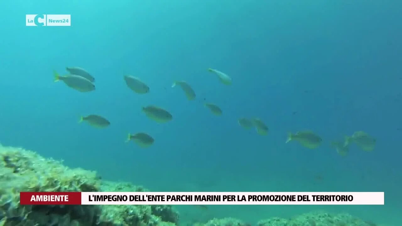 L’impegno dell’Ente parchi marini per la promozione del territorio calabrese