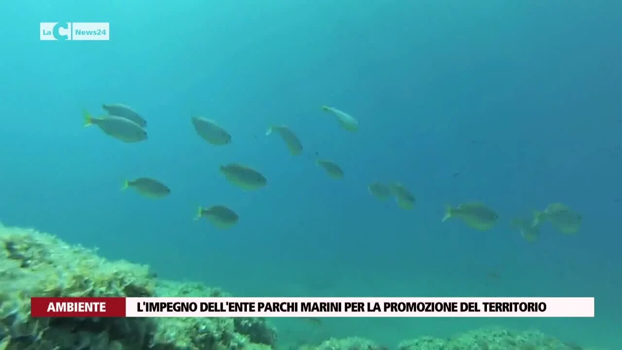 L'impegno dell'Ente Parchi marini per la promozione del territorio