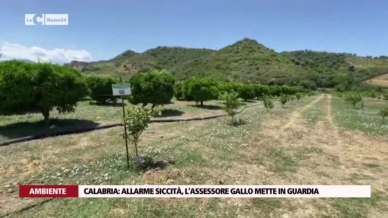 Calabria: allarme siccità, l’assessore Gallo mette in guardia