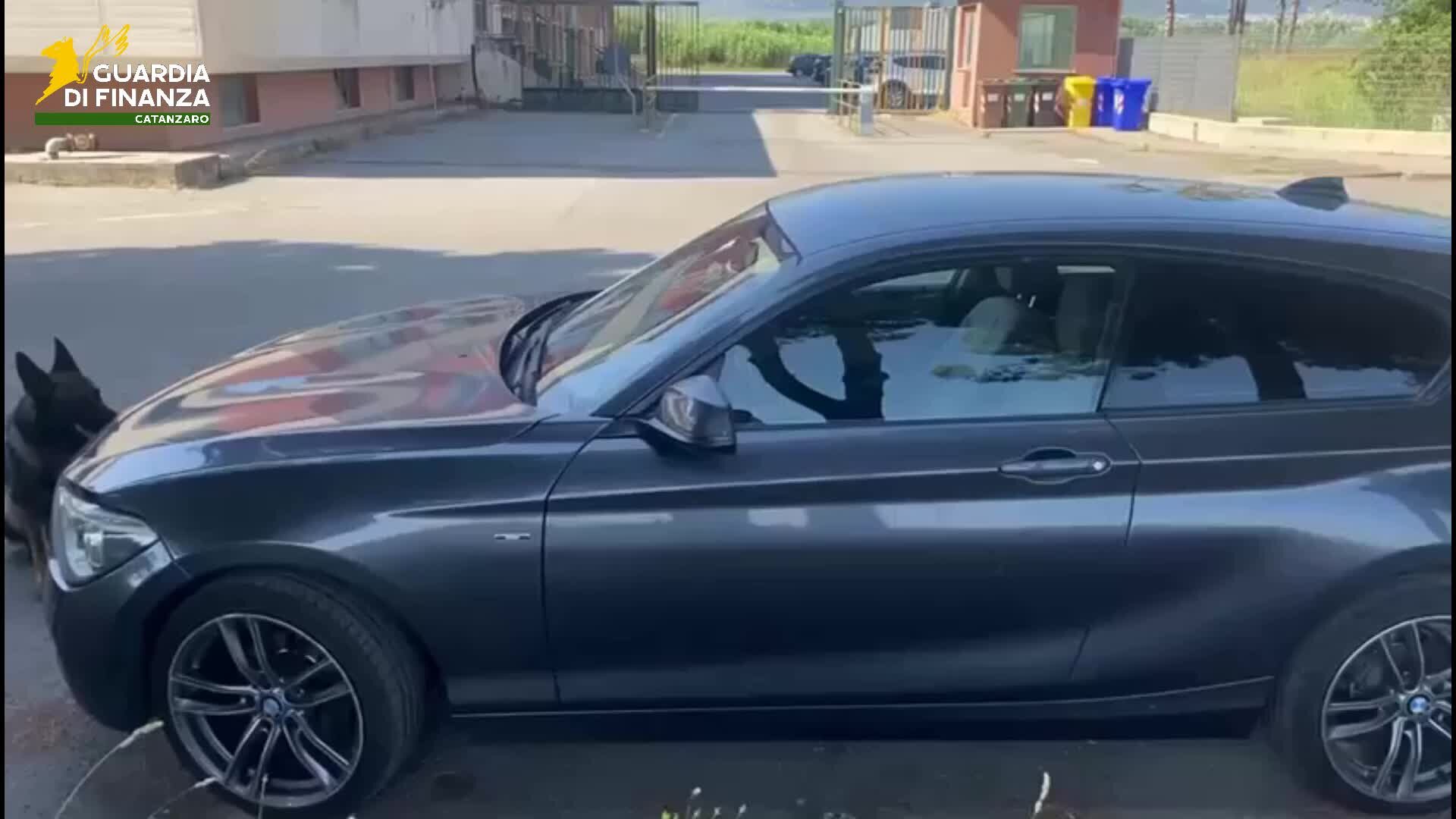 Marijuana nascosta nel bagagliaio: arrestato sulla A2 un uomo con 8 chili di droga grazie al fiuto del cane Ulisse | VIDEO