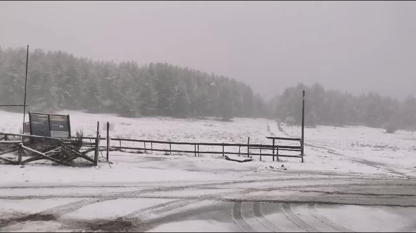 Nevicata in Sila