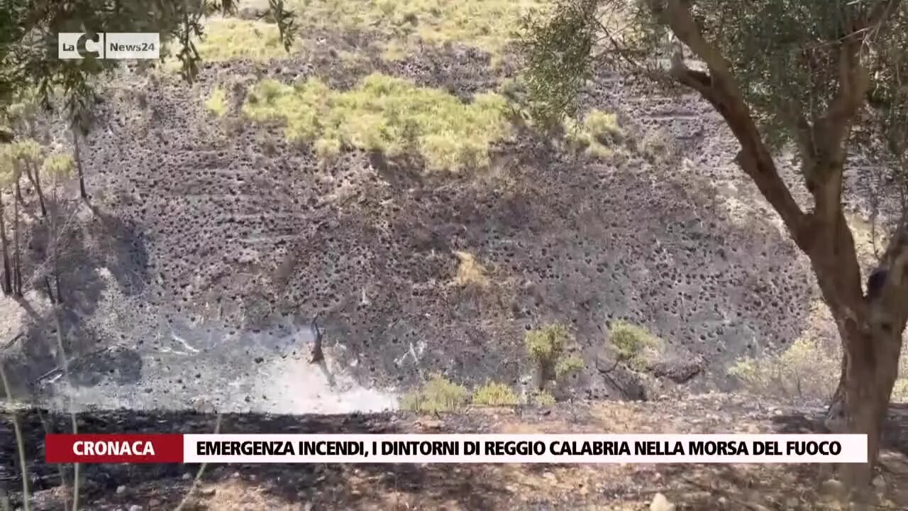 Emergenza incendi, i dintorni di Reggio Calabria nella morsa del fuoco