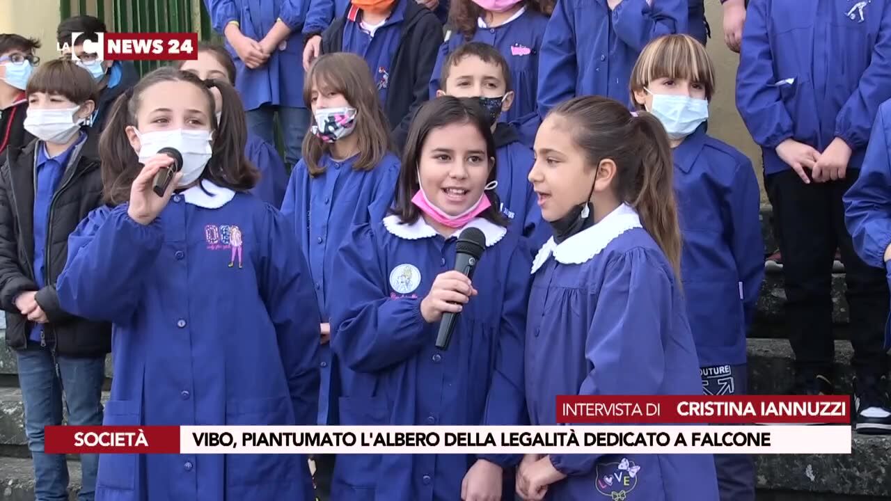Vibo, piantumato l'albero della legalità dedicato a Falcone