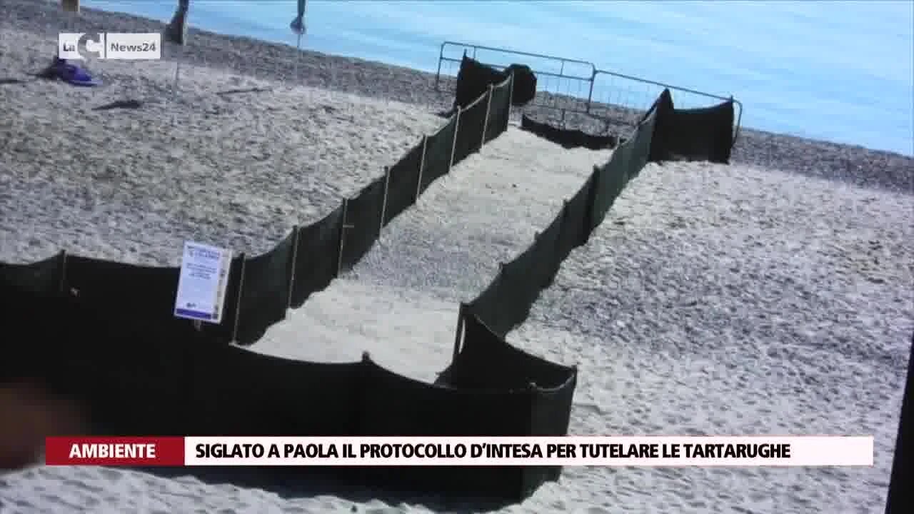 Paola, siglato protocollo tra Comune e Wwf a tutela delle tartarughe e delle uova deposte