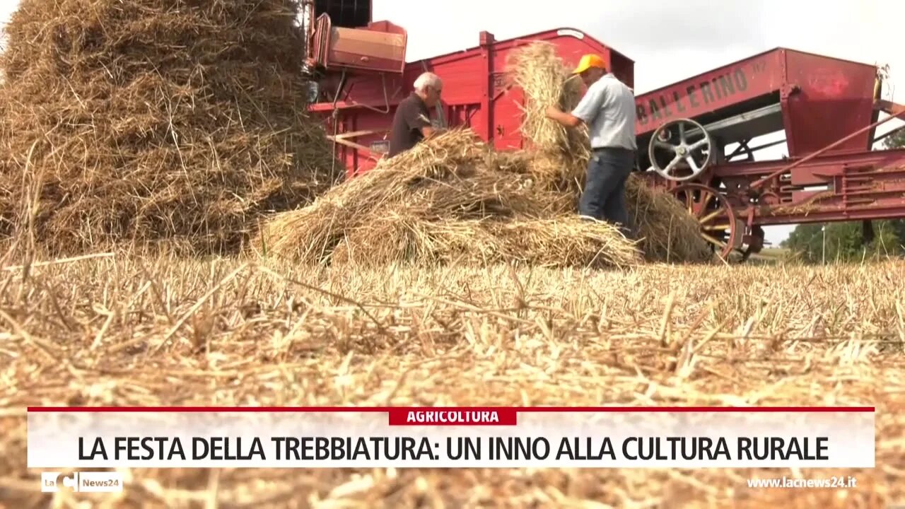 La Festa della Trebbiatura: un inno alla cultura rurale