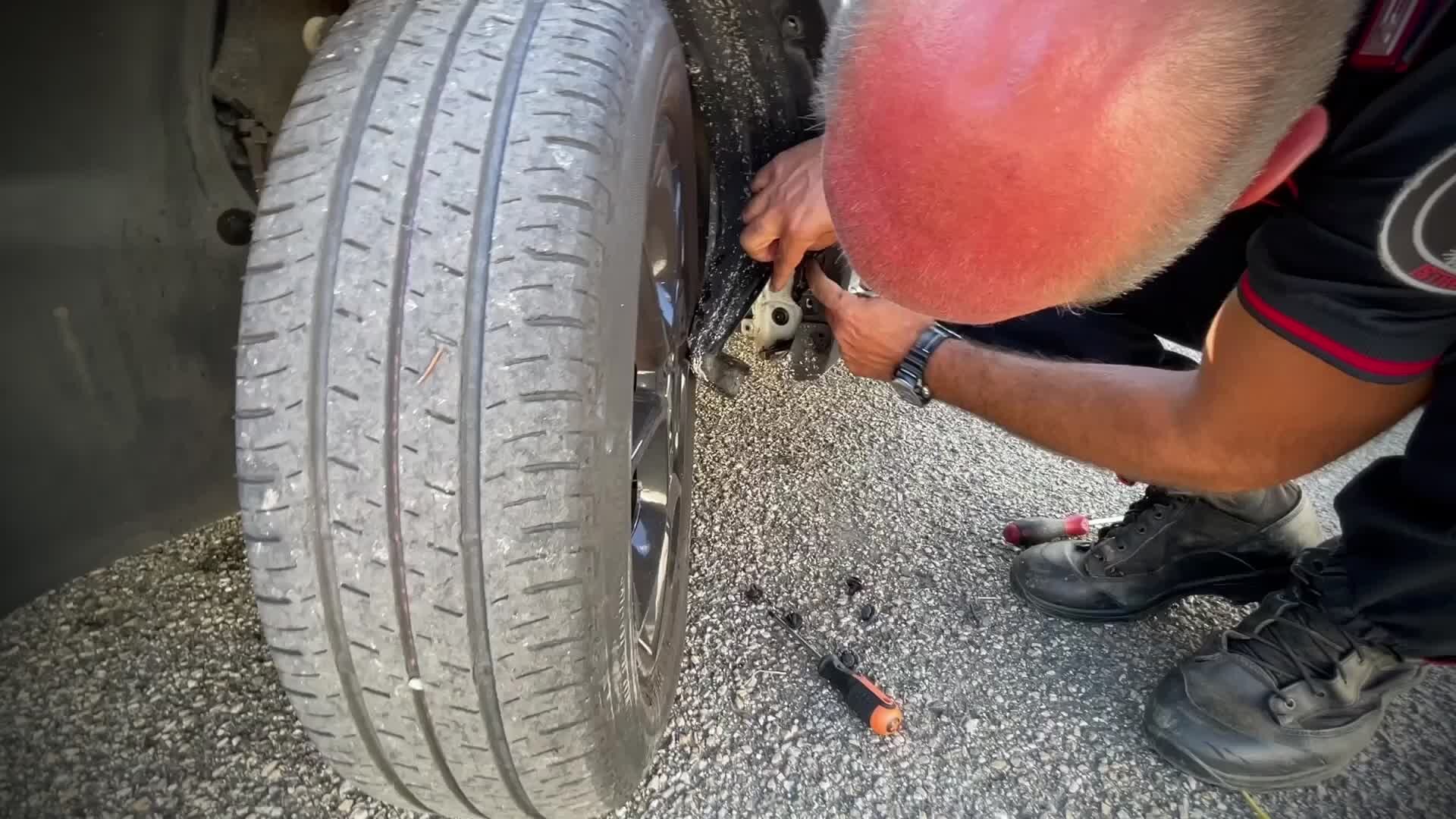 Vibo Valentia, i carabinieri salvano e adottano un gattino rimasto intrappolato in un’auto