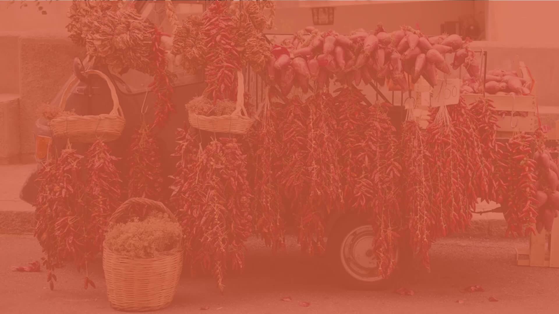 San Martino tra i catoja, a Badolato porte aperte per celebrare il vino nuovo