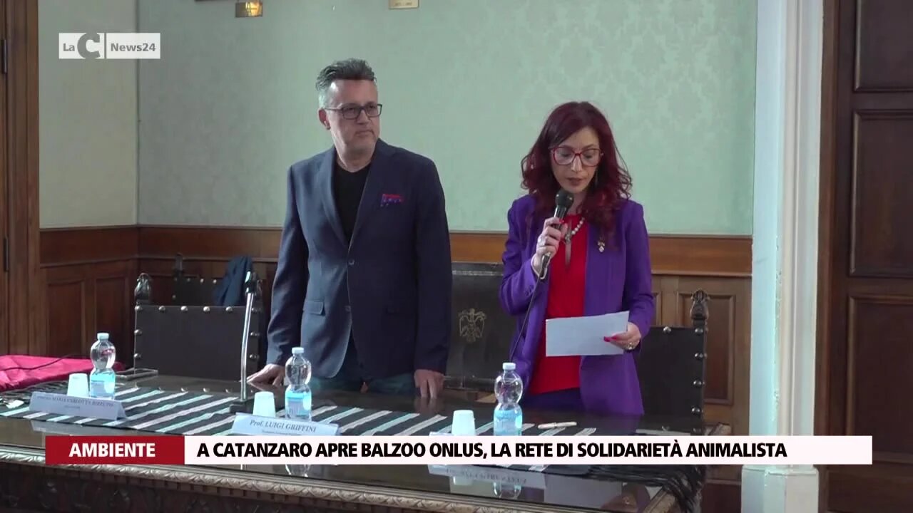 A Catanzaro apre Balzoo Onlus, la rete di solidarietà animalista