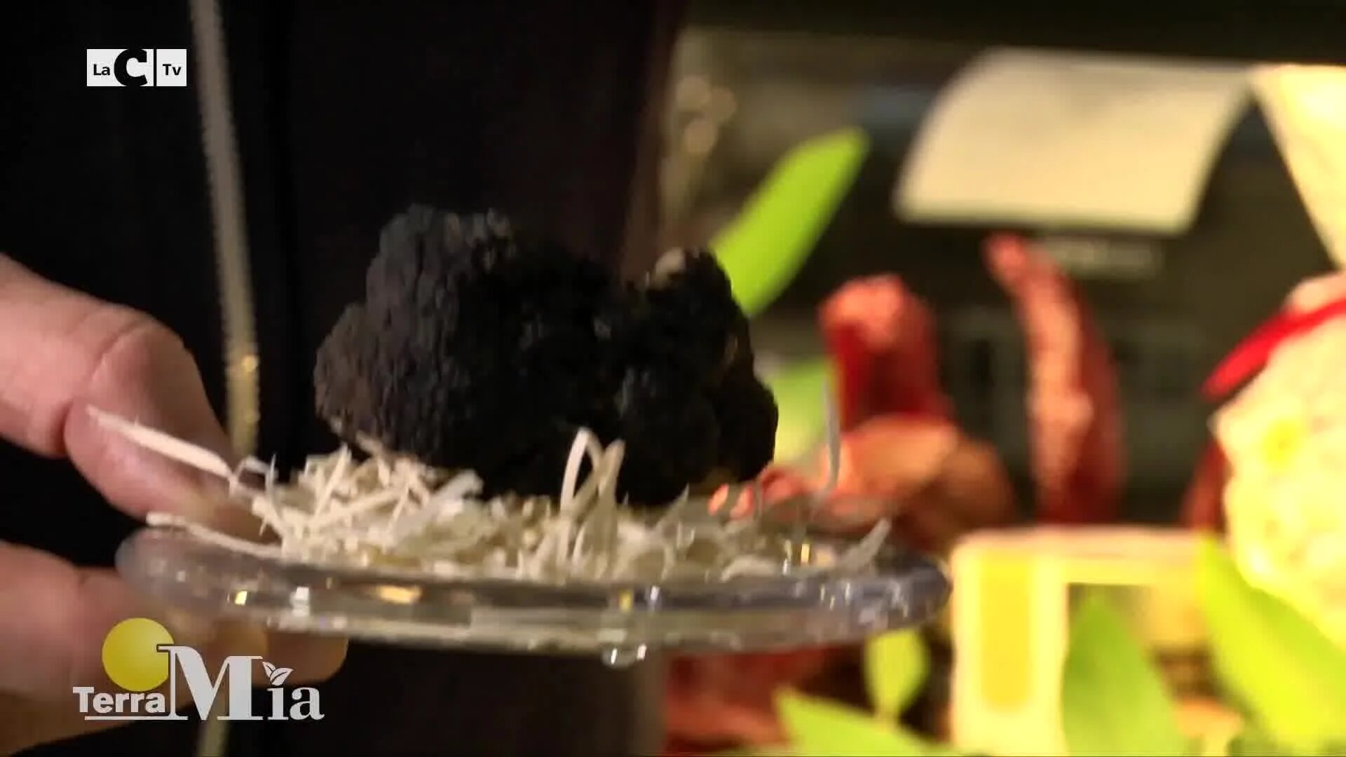 Il tartufo del Pollino, un diamante di Calabria dalle proprietà uniche e dall’aroma inconfondibile