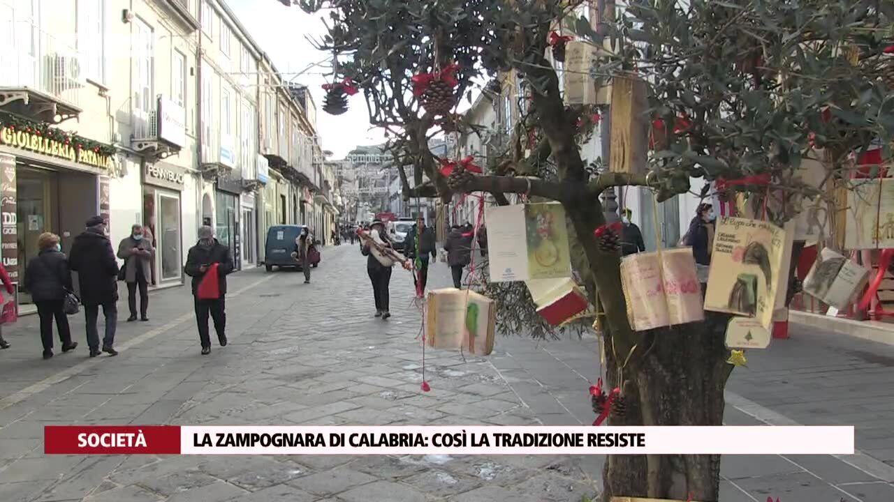 La zampognara di Calabria: così la tradizione resiste