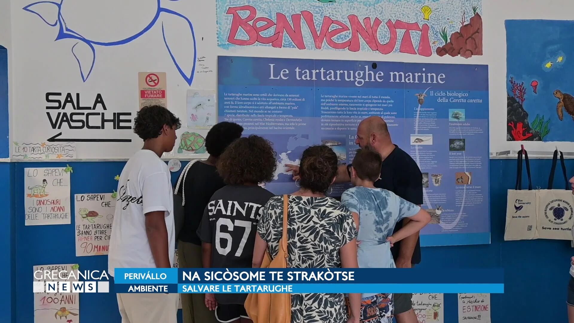 Grecanica News - A Brancaleone un centro di recupero delle tartarughe marine