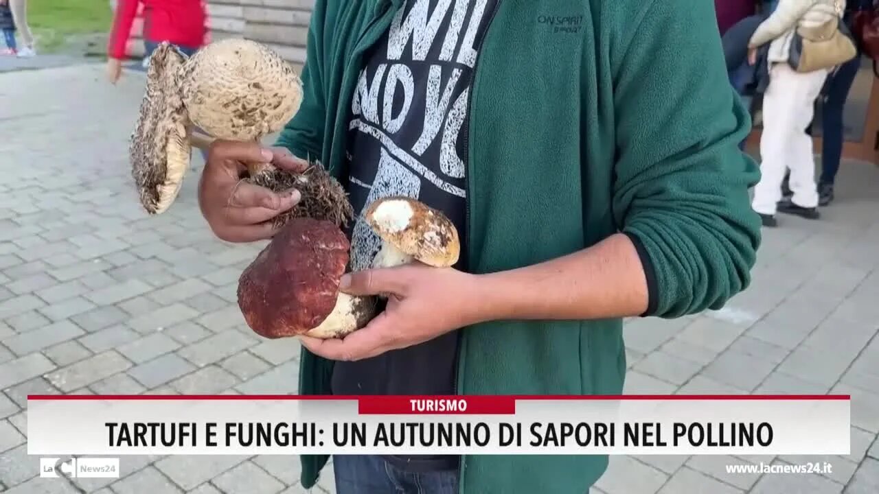 Tartufi e funghi, un autunno di sapori nel Pollino