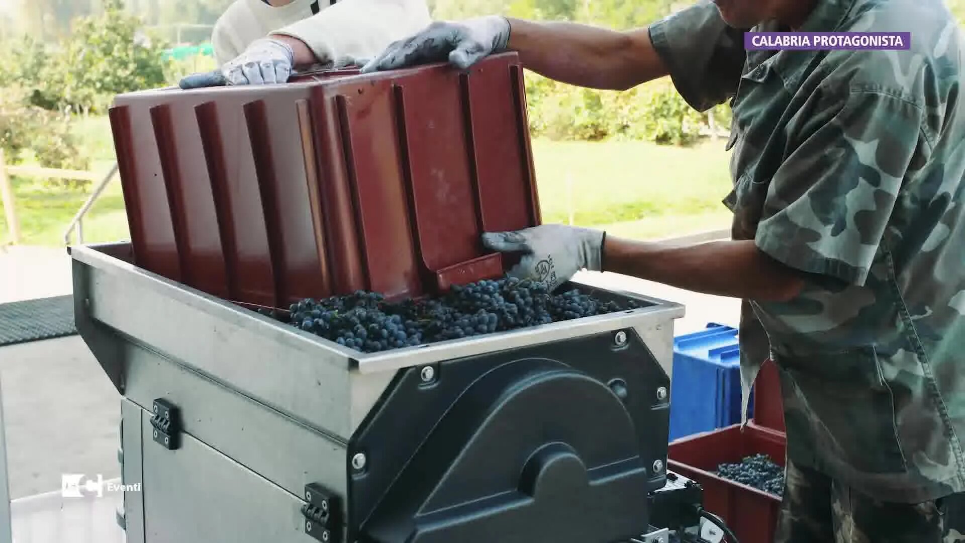 Cantine Tramontana di Gallico, la forza della tradizione e dell’attaccamento al territorio