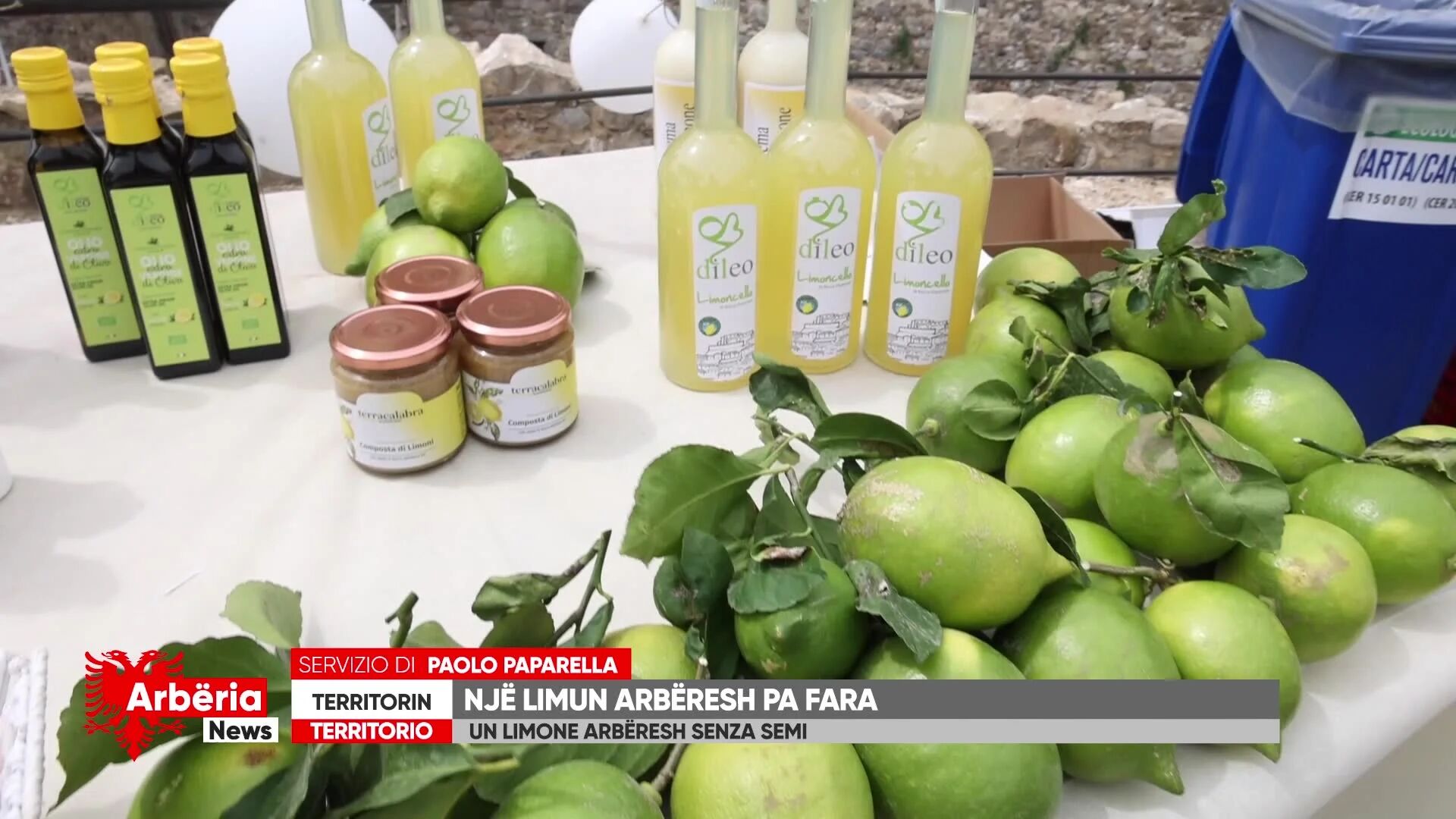 Arberia News - Rocca imperiale, un limone arbëresh senza semi