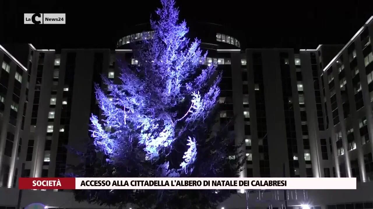Accesso alla Cittadella l'albero di natale dei calabresi