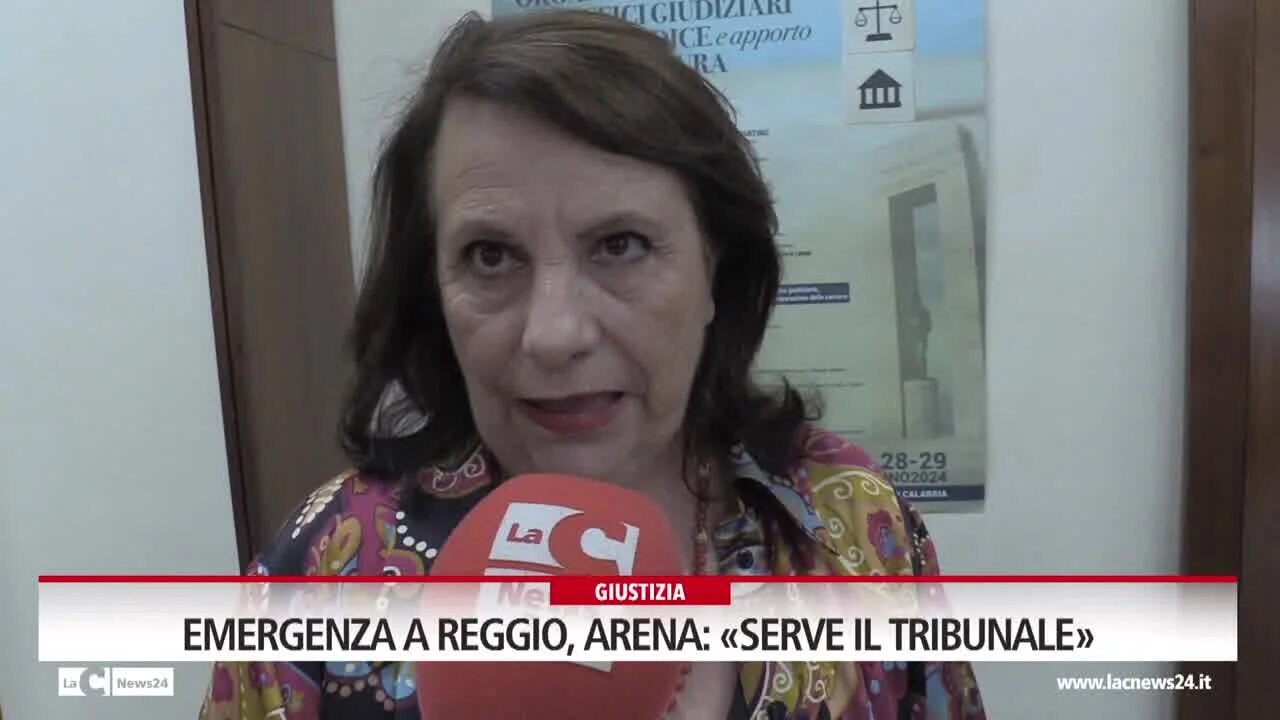 Emergenza a Reggio, Arena: «Serve il Tribunale»