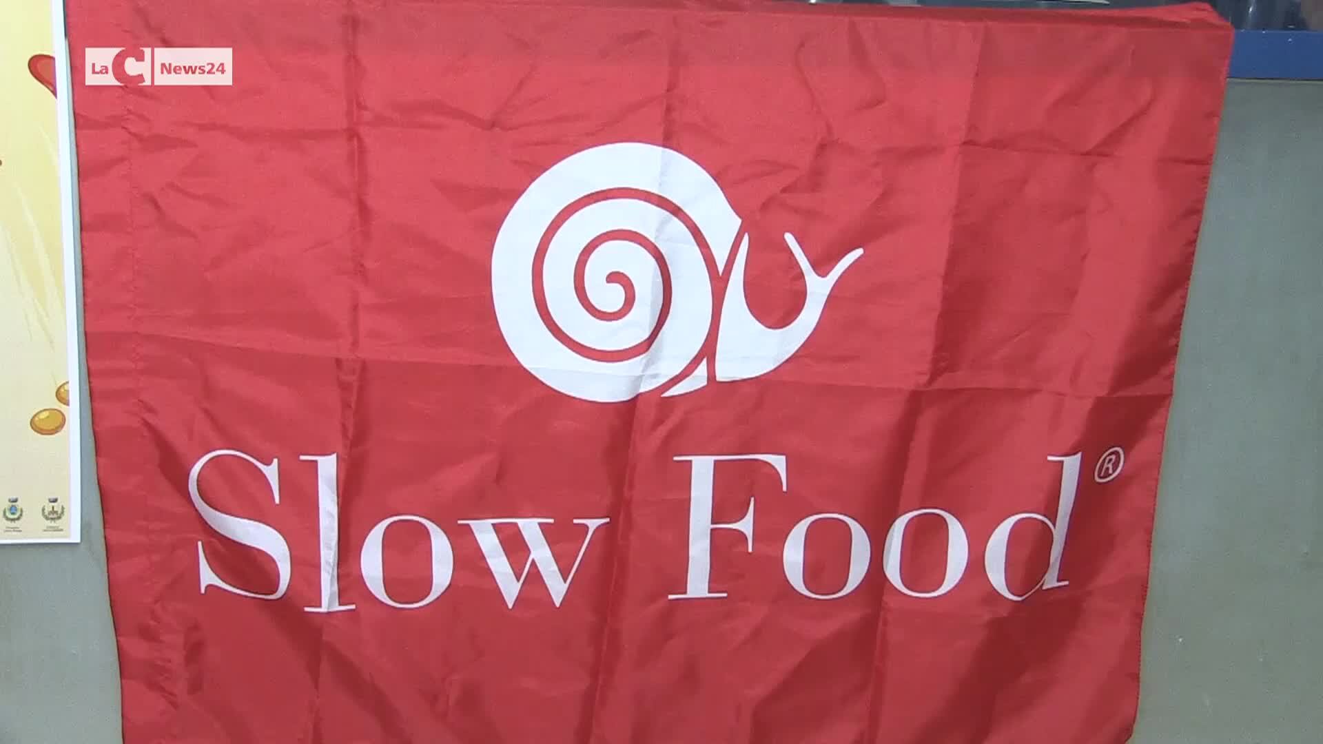 Slow beans nel Pollino: i legumi alimento giusto per salvare il pianeta | VIDEO