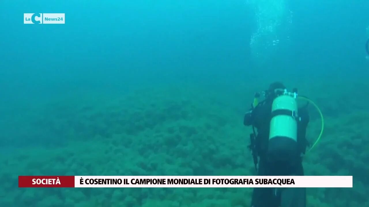È cosentino il campione mondiale di fotografia subacquea