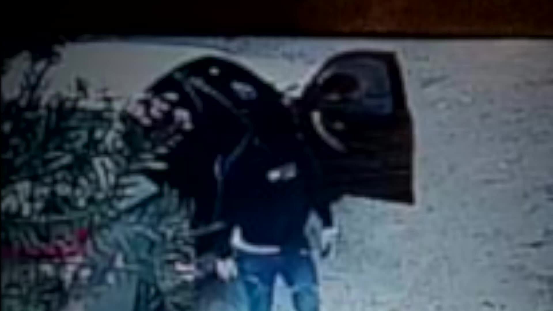 La banda di ladri del Cosentino non si ferma. Allarme sui social, ieri un altro tentato furto - VIDEO