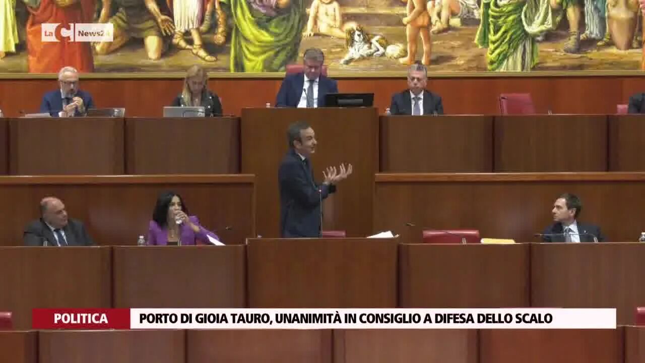 Porto di Gioia Tauro, unanimità in consiglio a difesa dello scalo