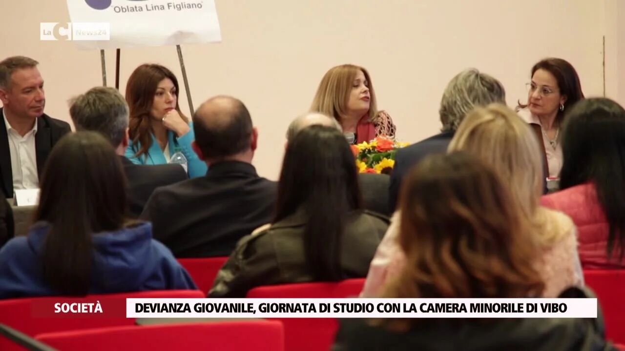Devianza giovanile, giornata di studio con la camera minorile di Vibo