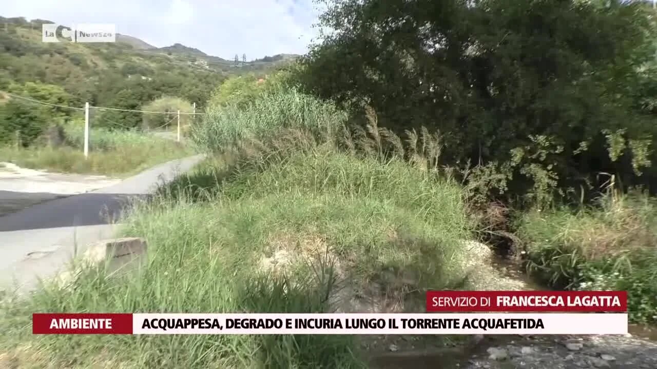 Acquappesa, un cittadino denuncia: «Degrado e incuria lungo il torrente, c’è il rischio di inondazioni»