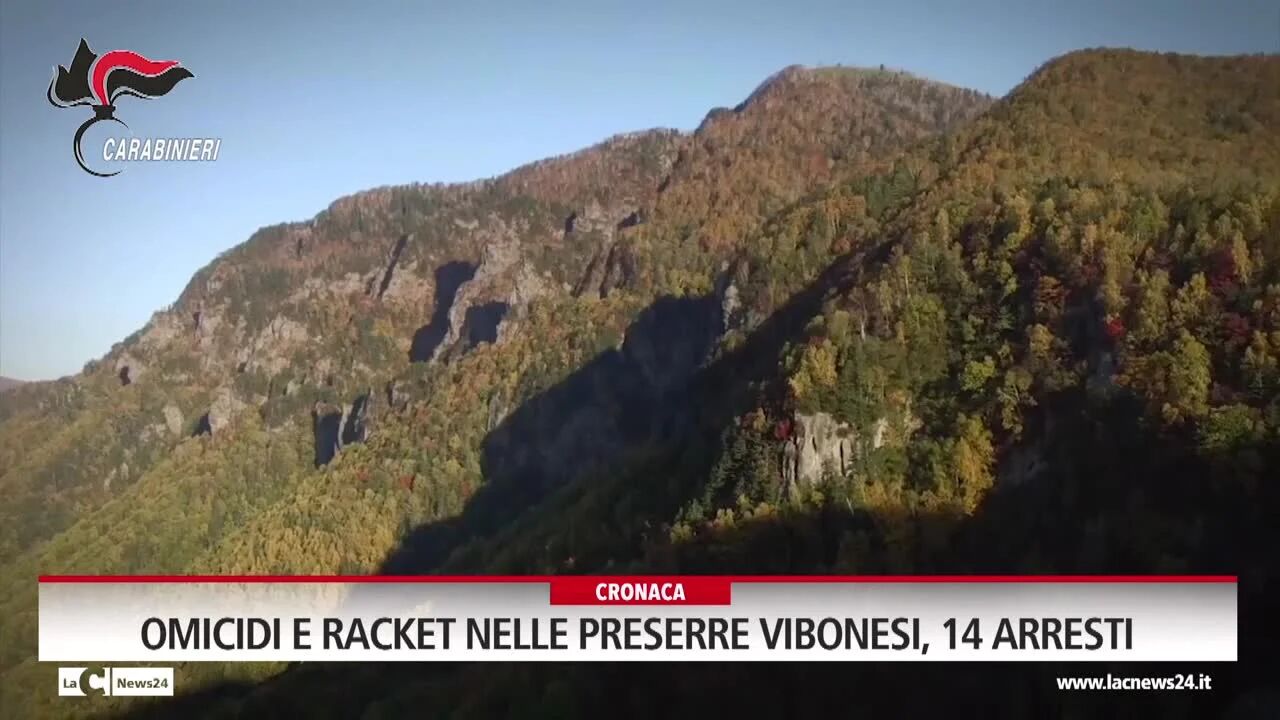 Omicidi e racket nelle preserre vibonesi, 14 arresti