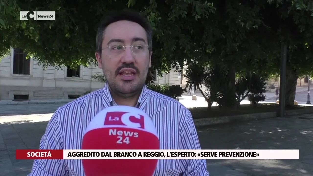 Aggredito dal branco a Reggio, l’esperto: «Serve prevenzione»