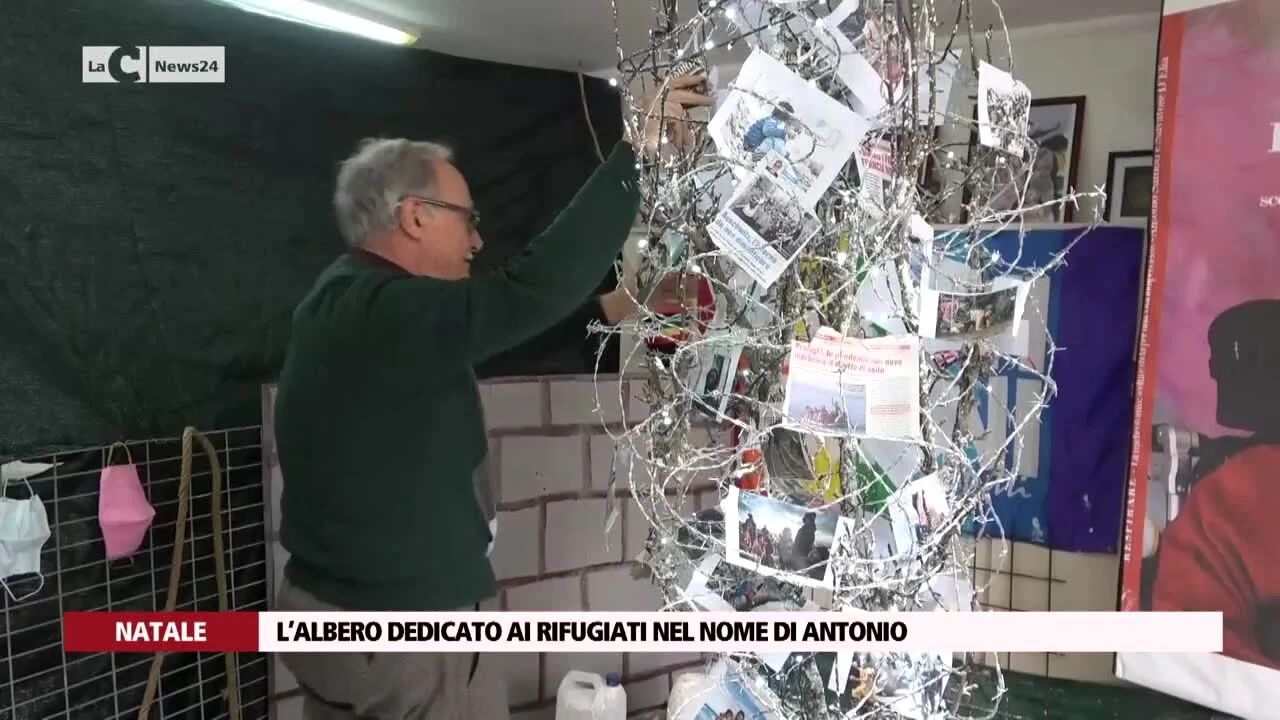 L’albero dedicato ai rifugiati nel nome di Antonio