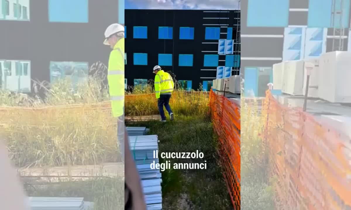 Nuovo ospedale della Sibaritide, Occhiuto: «Dalle parole ai fatti: ecco lo stato dell'arte» | VIDEO