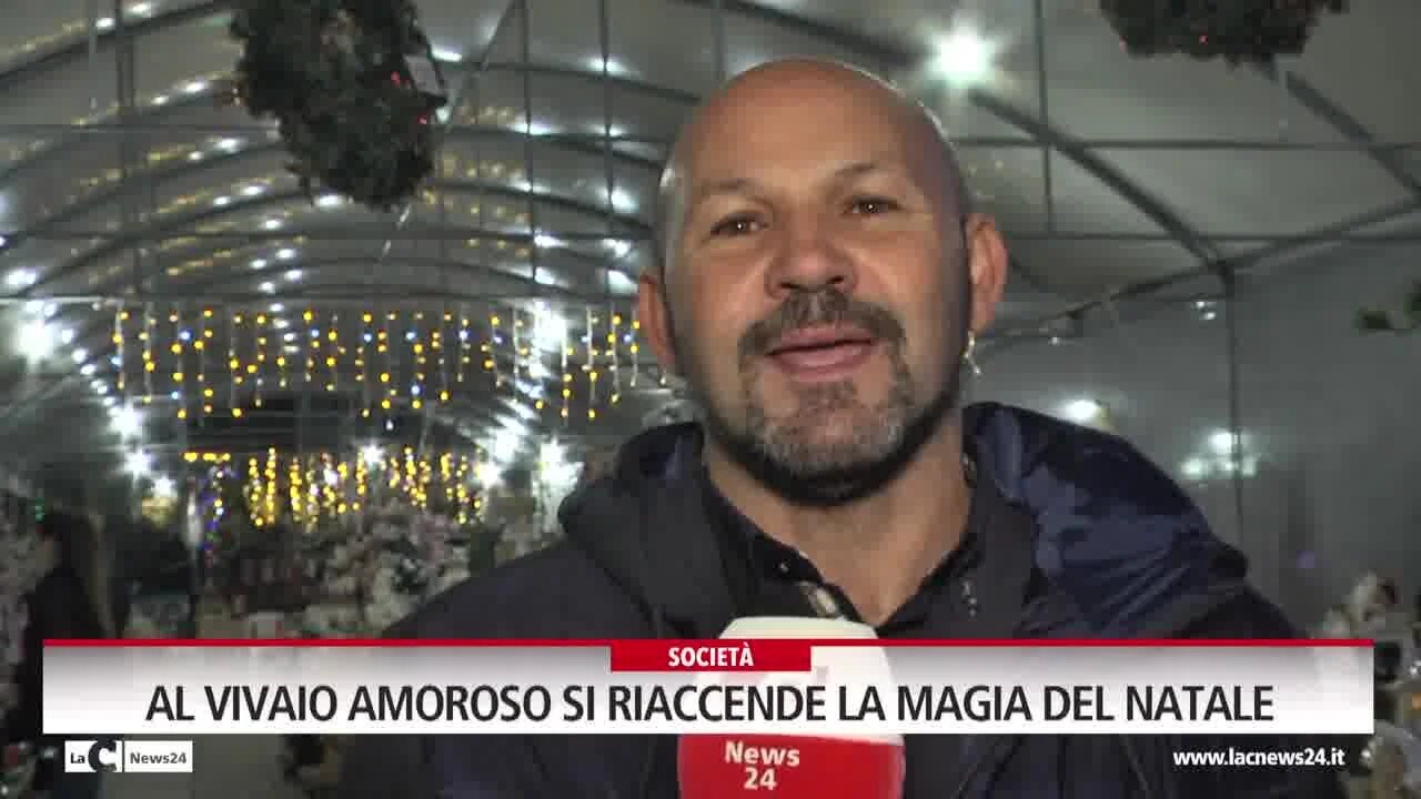 Al vivaio Amoroso si riaccende la magia del Natale