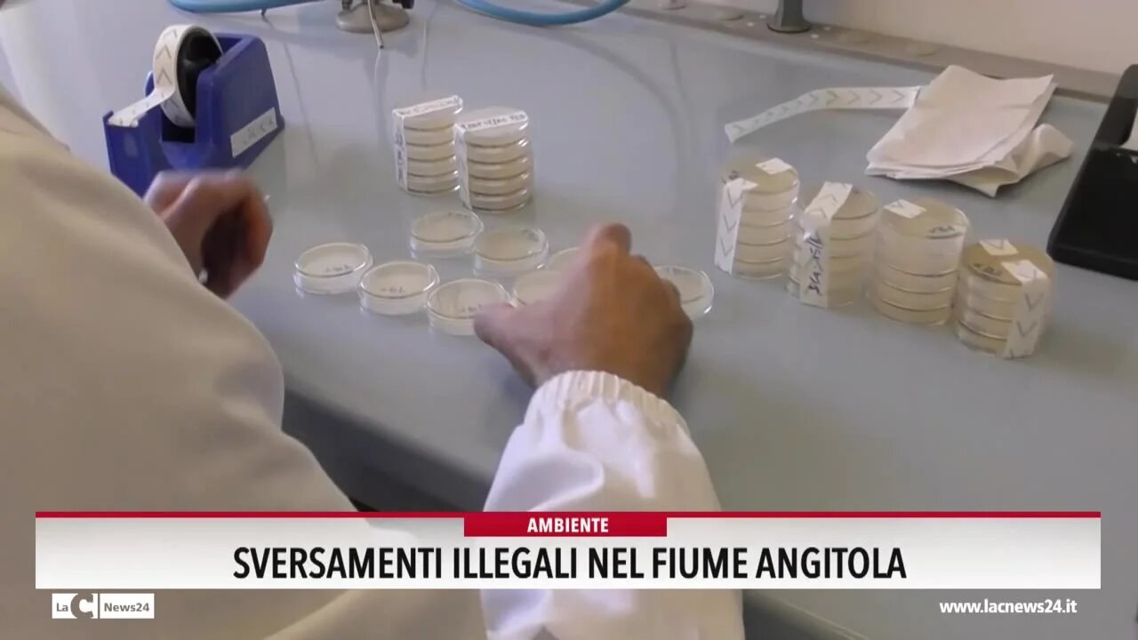 Nuove analisi dopo il furto dei campioni d'acqua prelevati da Arpacal: nel fiume Angitola batteri fecali come 3 scarichi di depuratori - VIDEO
