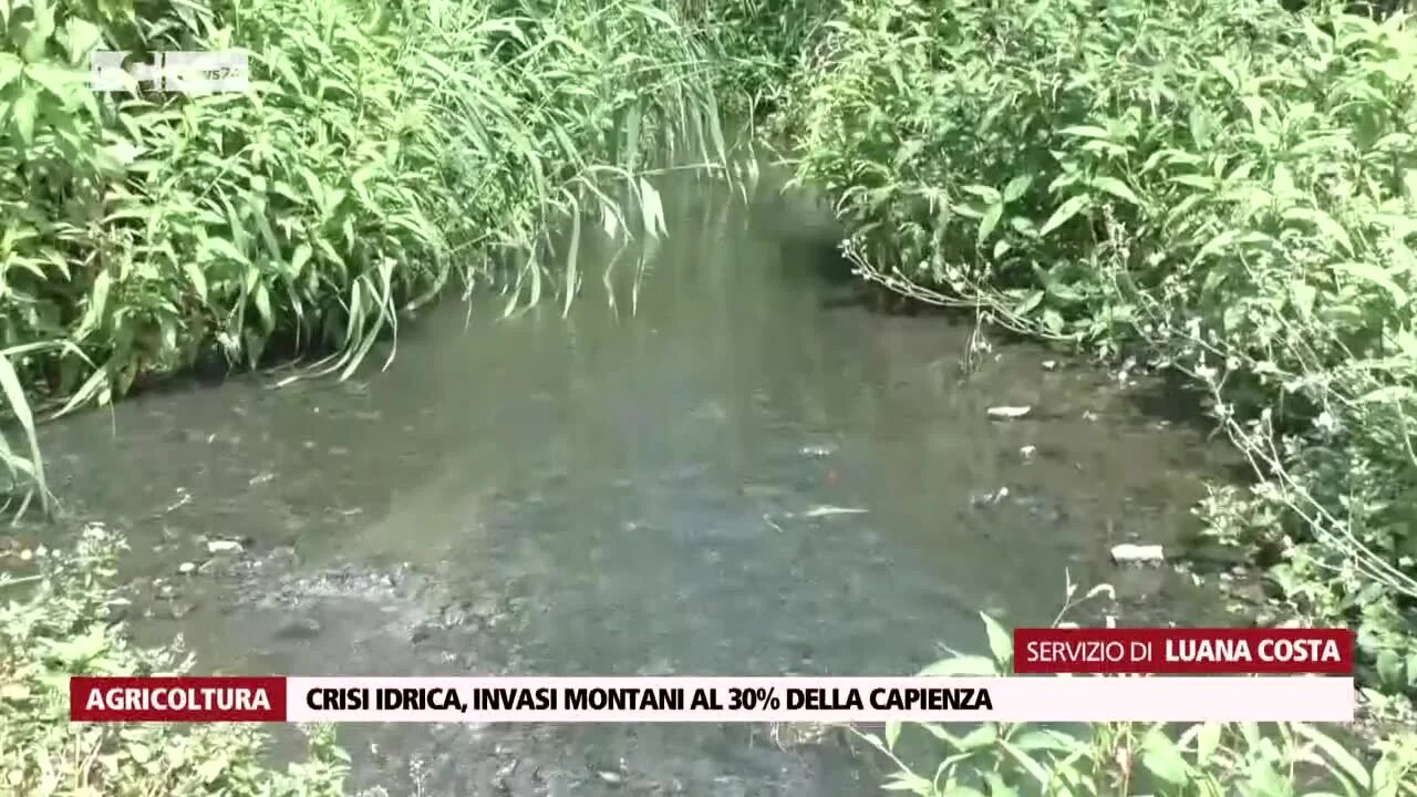 Anche la Calabria nella morsa della siccità: «Invasi pieni solo al 30%, rischio stagione estiva drammatica»