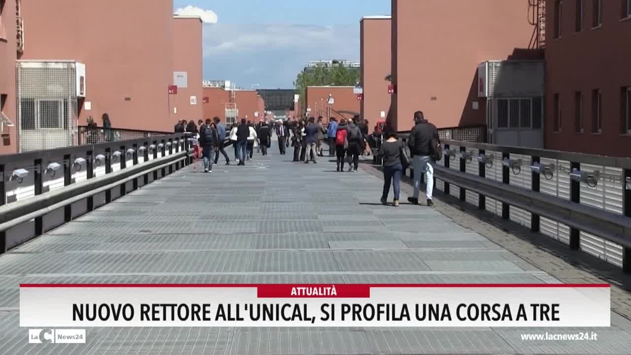 Unical, per il nuovo rettore si profila una corsa a tre tra Greco, Piro e Rubino | VIDEO