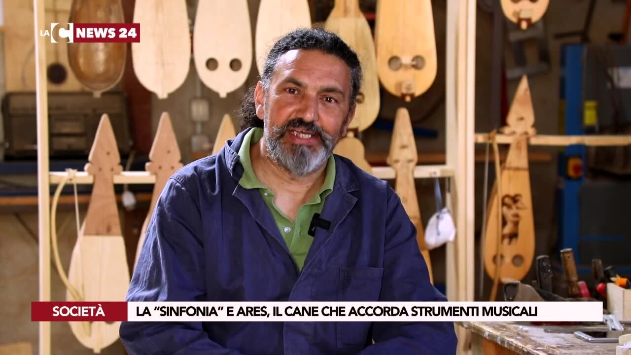 La “Sinfonia” e Ares, il cane che accorda strumenti musicali