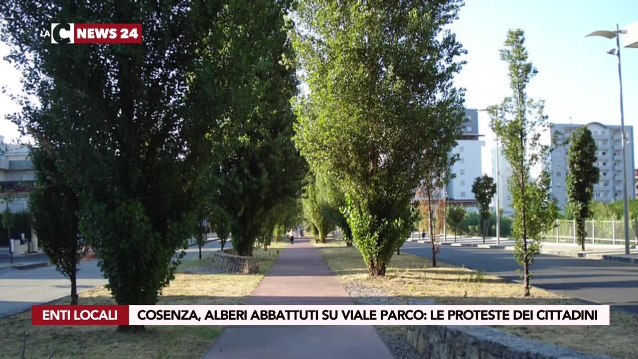 Cosenza, alberi abbattuti su viale parco: le proteste dei cittadini