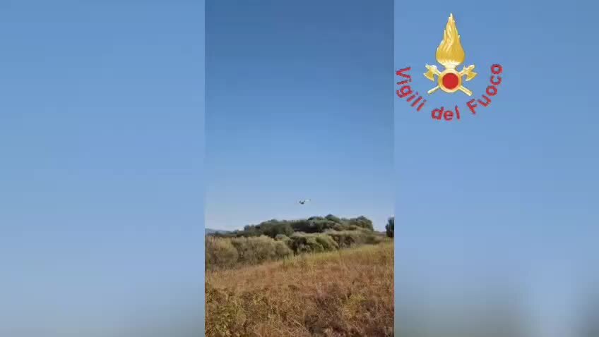 Inferno di fuoco a Mileto vicino allo svincolo dell'A2: rasi al suolo circa 20 ettari di colture, bosco e macchia mediterranea -VIDEO