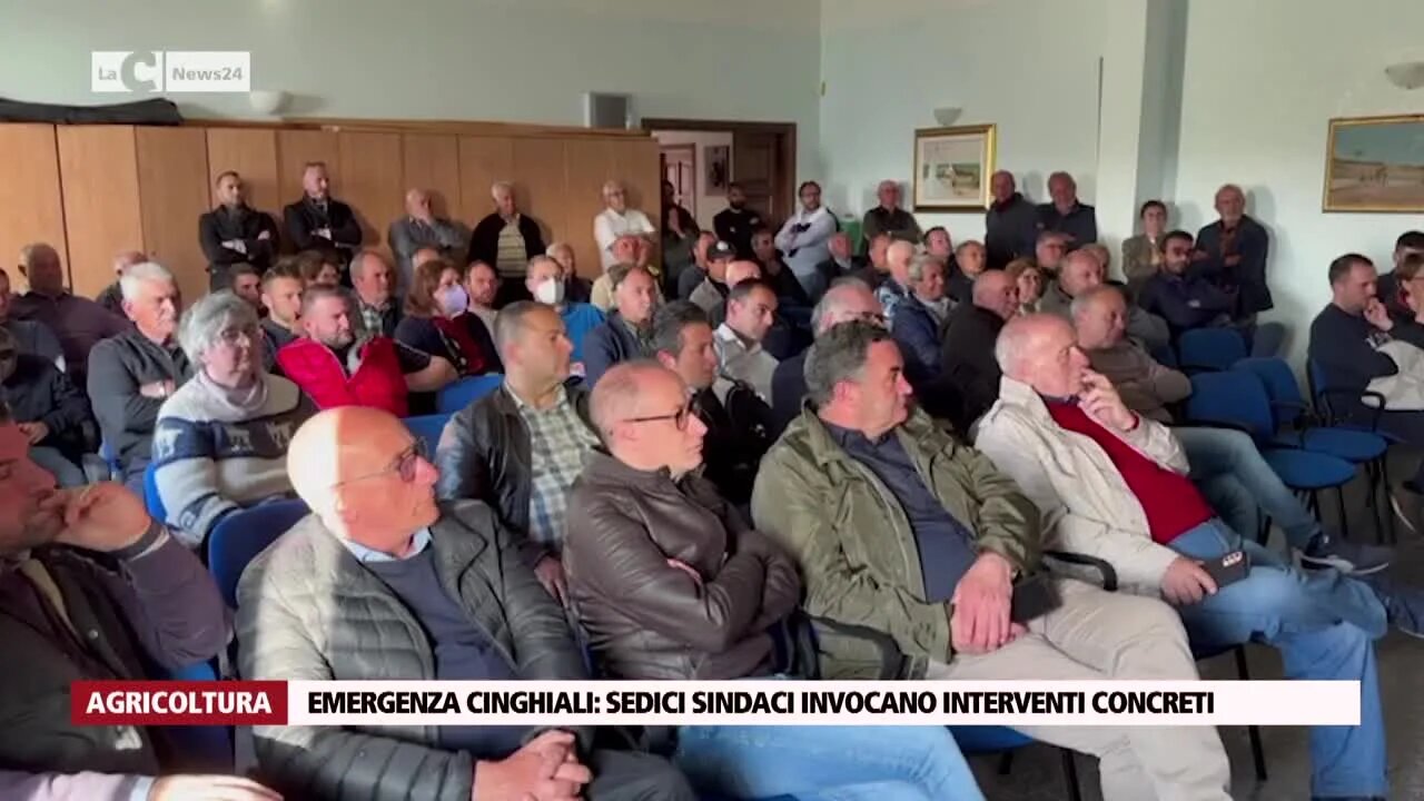 Emergenza cinghiali: sedici sindaci invocano interventi concreti