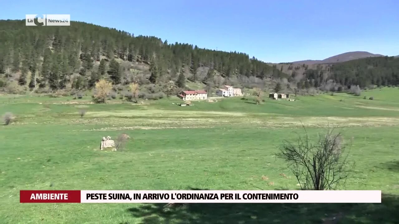 Peste suina, in arrivo l'ordinanza per il contenimento