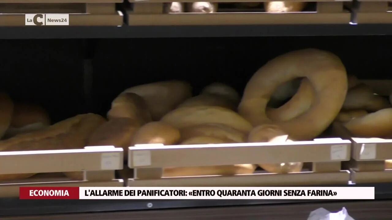 L'allarme dei panificatori: «Entro quaranta giorni senza farina»