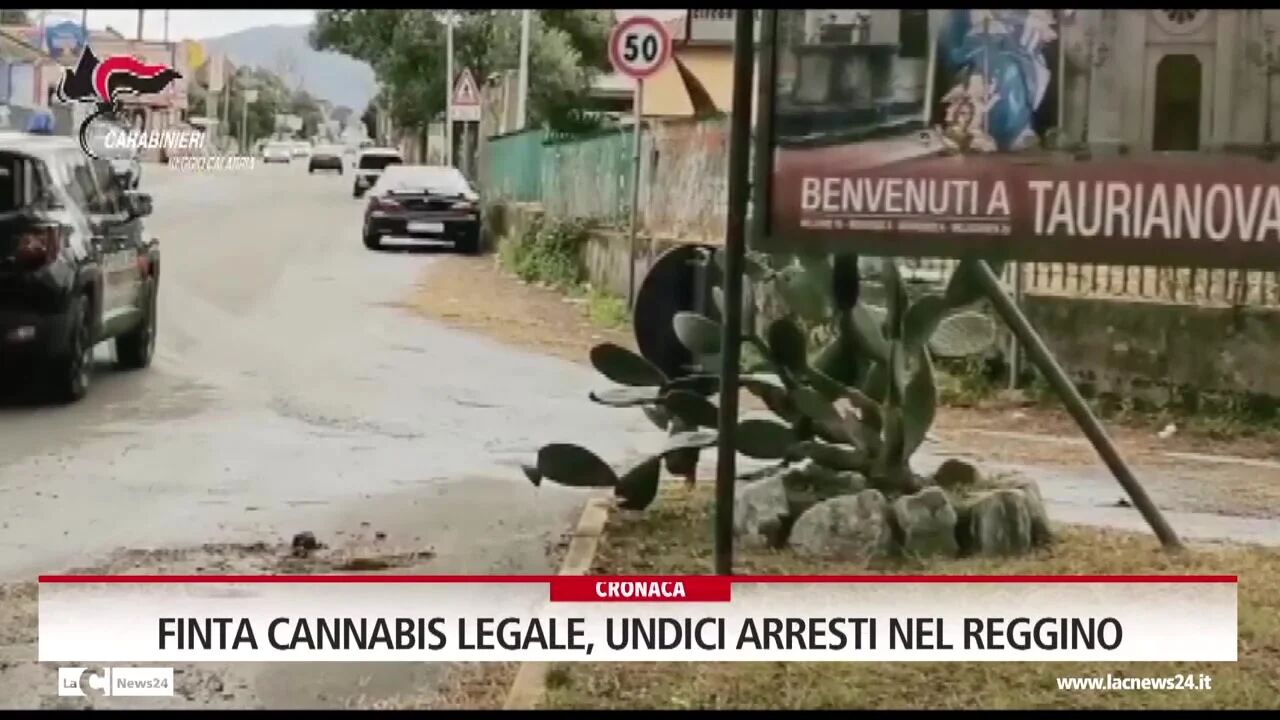 Finta cannabis legale, undici arresti nel Reggino