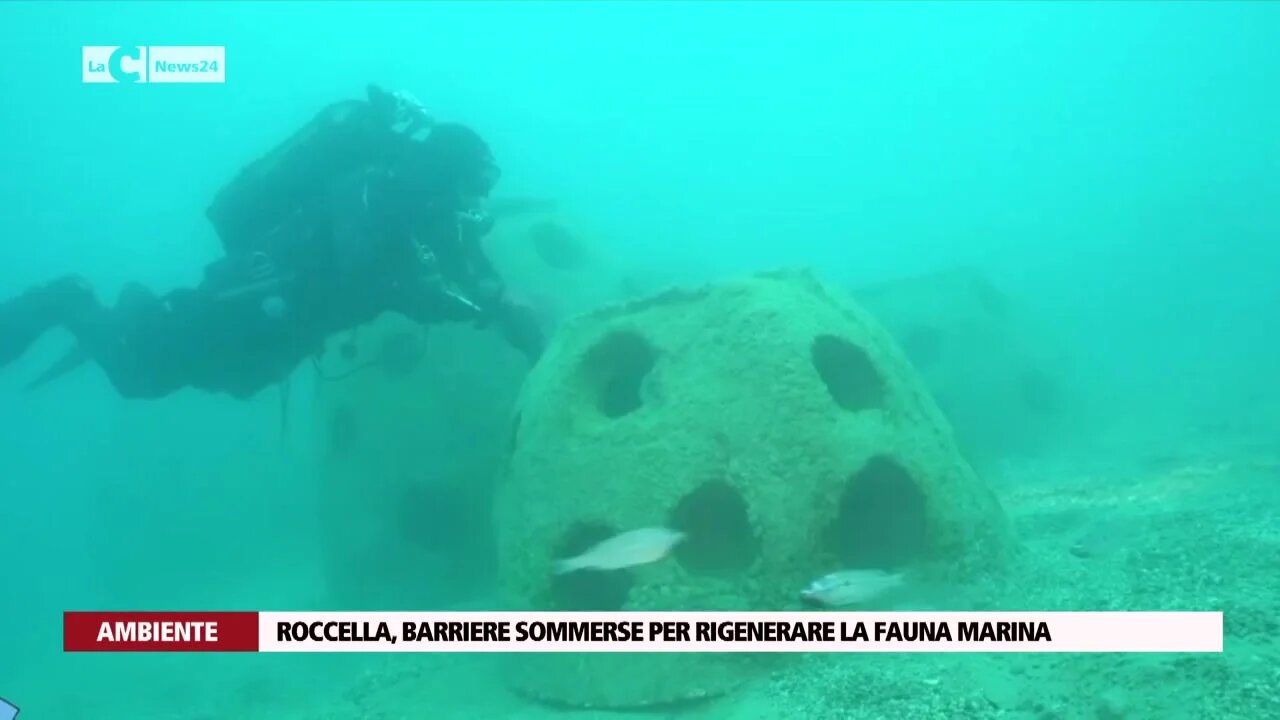 Roccella, barriere sommerse per rigenerare la fauna marina